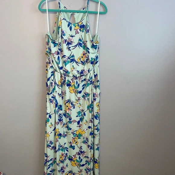 The Limited | Dresses | Euc The Limited Mint Green Floral Halter Maxi Dress  Size Xxl | Poshmark
